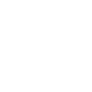visa-2